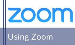 Support to use Zoom