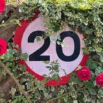 A round white and red "20" speed limit sign is partially obscured by lush green ivy and several vibrant red roses. The sign, which has a red border and a white centre with the number "20" in black, is attached to a wooden fence or structure that is visible on the left and bottom. Three prominent red roses are in full bloom, two on the left side of the frame and one smaller cluster on the bottom right, with their green leaves and thorny stems intertwining with the ivy around the sign. The setting appears to be outdoors in a garden or roadside area.