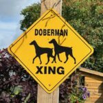 A square, yellow diamond-shaped sign with black text and silhouettes is affixed to a wooden post, warning "DOBERMAN XING." The sign features two black silhouettes of Doberman Pinschers in profile, walking to the right, placed between the words "DOBERMAN" at the top and "XING" at the bottom. The sign is set against a backdrop of green foliage, dark red bushes, and a small wooden shed with a birdhouse on its side, under a partly cloudy sky.