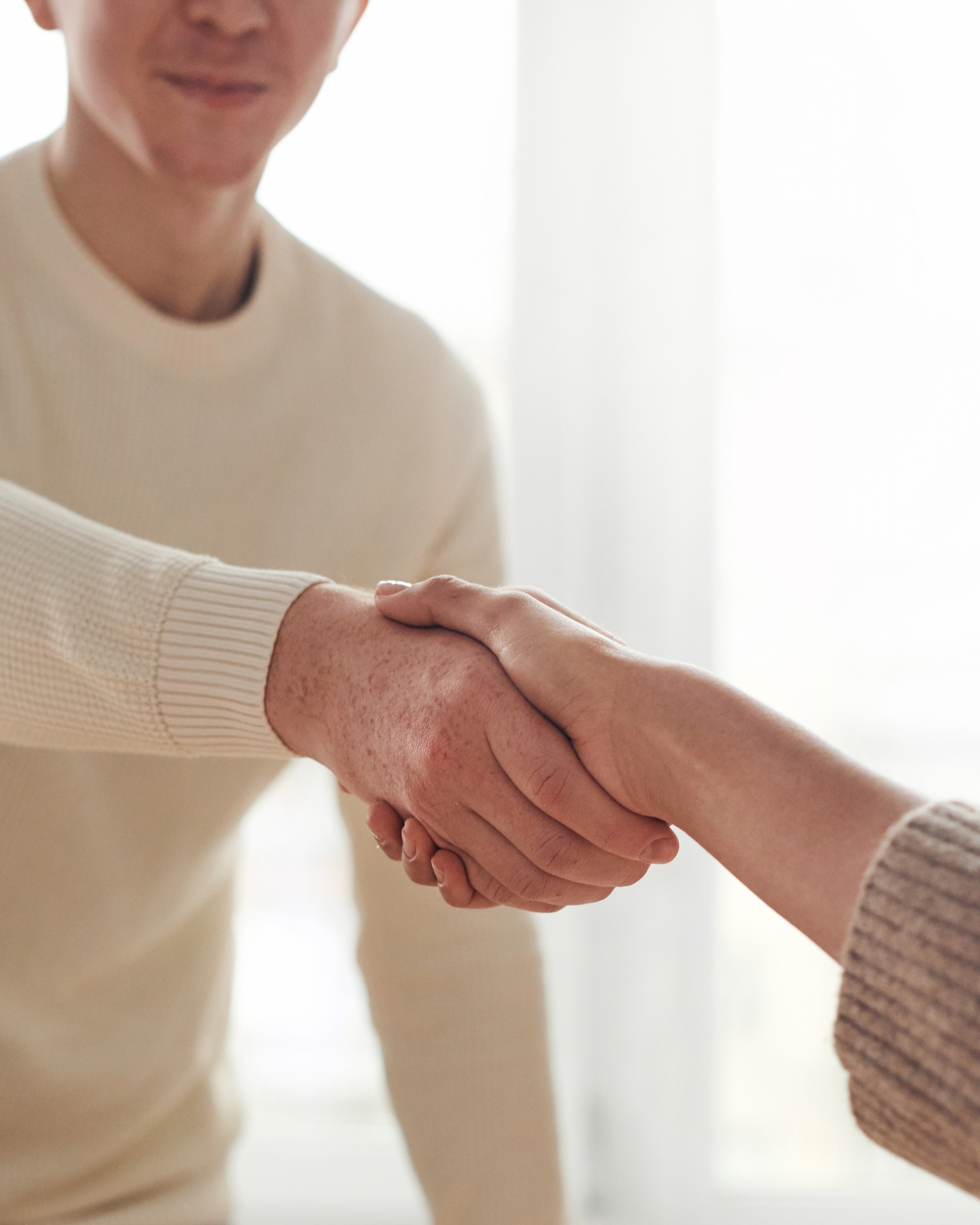 People shaking hands in a calm environment